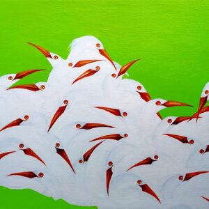 Egrets 1