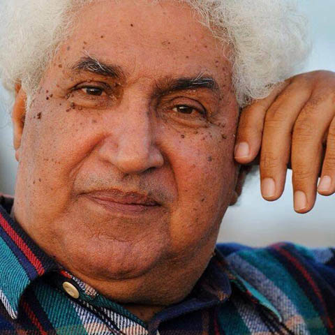 AbdelWahab AbdelMohsen