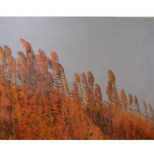 Untitled II