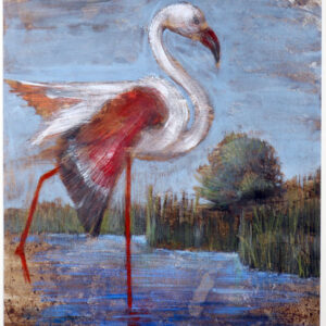 FLAMINGO II