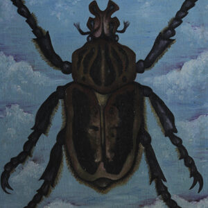 The Insect
