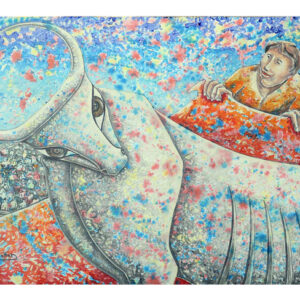 Bull fight
