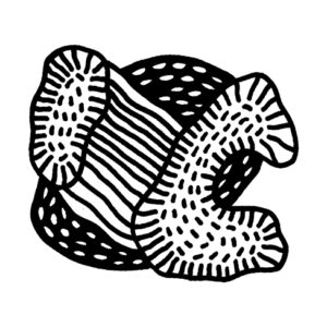 Untitled 12