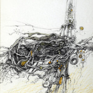 Untitled 6