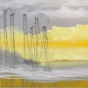 Untitled 6