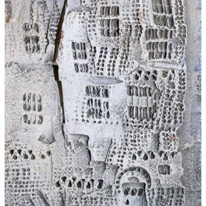 Untitled 7