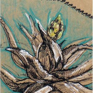 Cactus 8