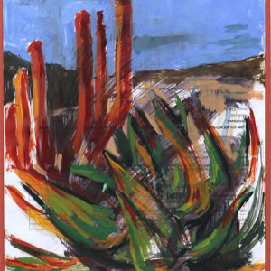 Cactus 1